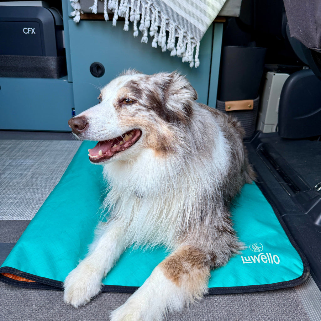 Ultralight Portable Dog Settle Mat: Water-Resistant, USA-Made Place Training Mat