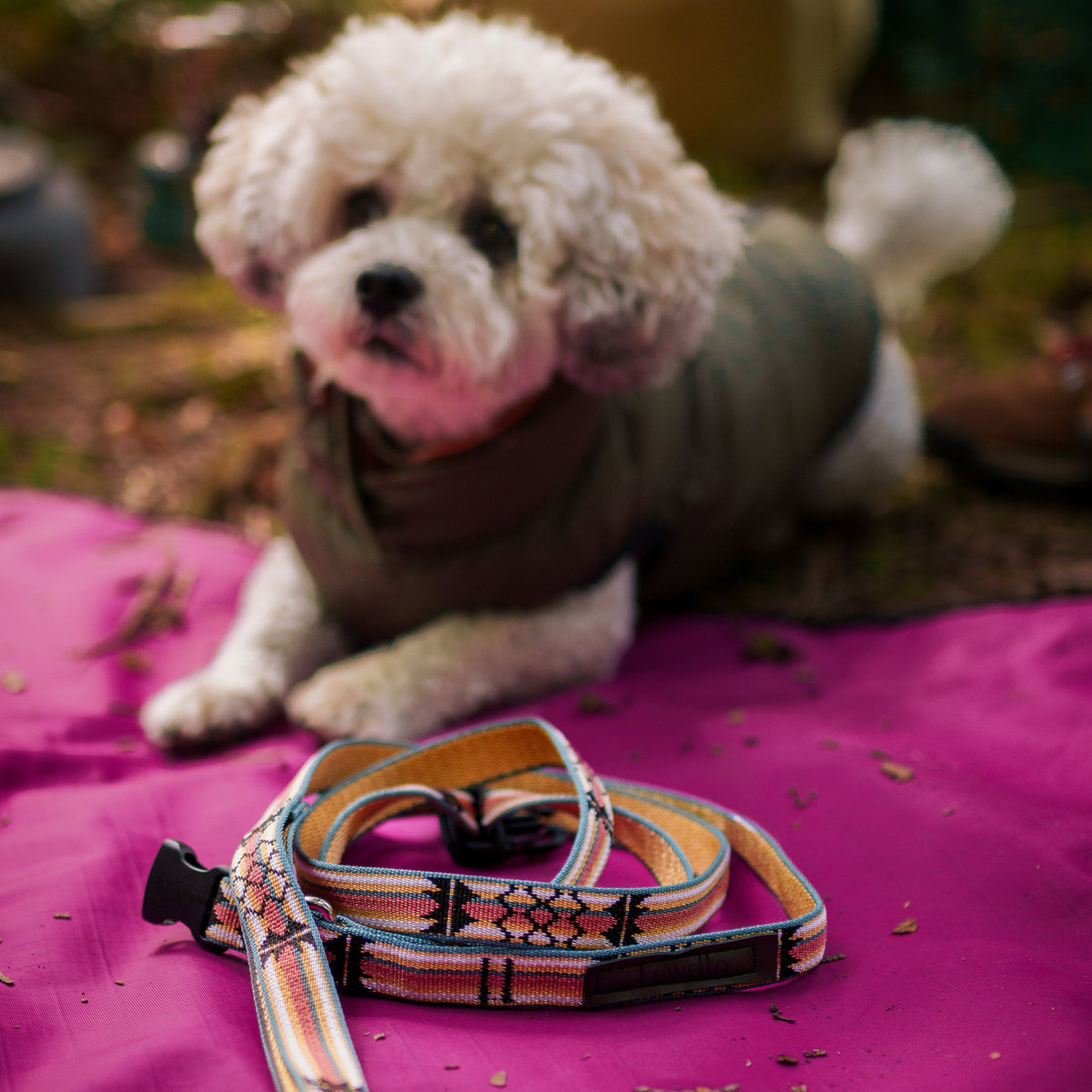Ultralight Portable Dog Settle Mat: Water-Resistant, USA-Made Place Training Mat